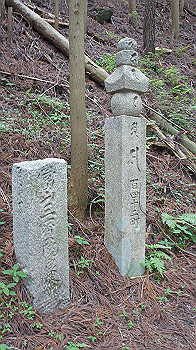 dsc00235_thumb.jpg