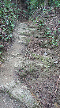 dsc00236_thumb.jpg