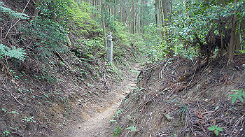 dsc00237_thumb.jpg