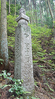 dsc00238_thumb.jpg