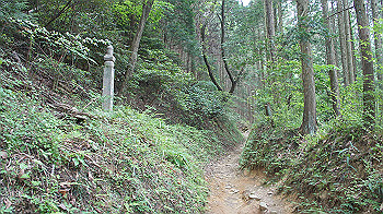 dsc00239_thumb.jpg
