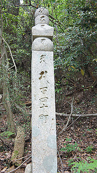 dsc00240_thumb.jpg