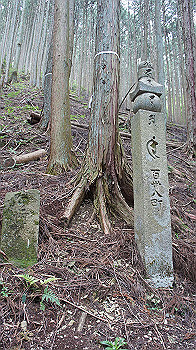 dsc00246_thumb.jpg