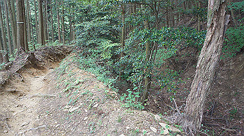 dsc00247_thumb.jpg