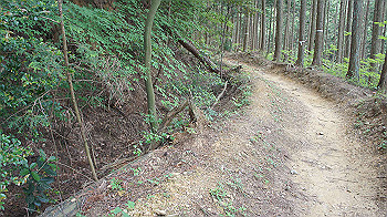 dsc00248_thumb.jpg
