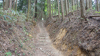 dsc00252_thumb.jpg