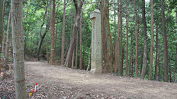 dsc00254_thumb.jpg