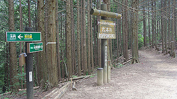 dsc00255_thumb.jpg