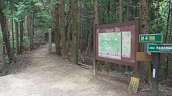 dsc00260_thumb.jpg