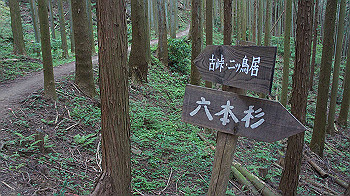 dsc00264_thumb.jpg