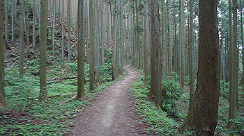 dsc00265_thumb.jpg