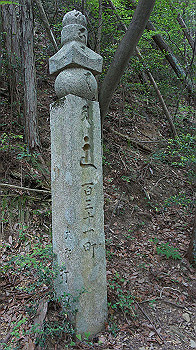 dsc00267_thumb.jpg