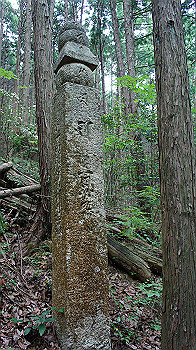 dsc00271_thumb.jpg