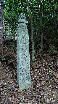 dsc00272_thumb.jpg