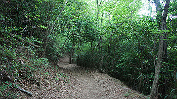 dsc00273_thumb.jpg
