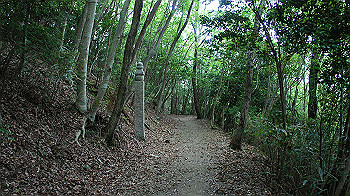 dsc00274_thumb.jpg
