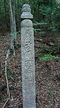 dsc00275_thumb.jpg