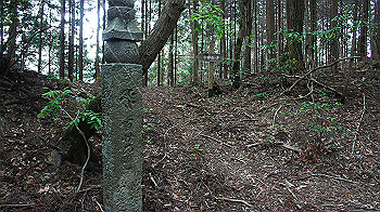 dsc00276_thumb.jpg