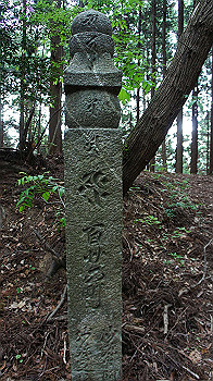 dsc00277_thumb.jpg