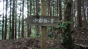 dsc00278_thumb.jpg