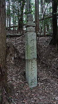dsc00280_thumb.jpg