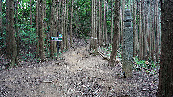 dsc00281_thumb.jpg