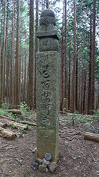 dsc00282_thumb.jpg