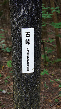 dsc00284_thumb.jpg