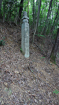 dsc00287_thumb.jpg