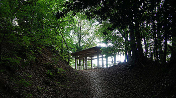 dsc00291_thumb.jpg