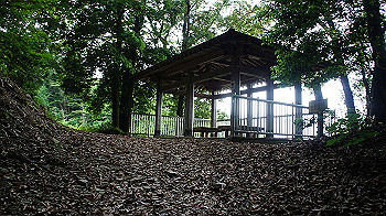dsc00292_thumb.jpg