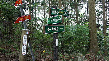 dsc00299_thumb.jpg