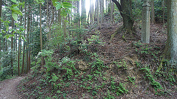 dsc00300_thumb.jpg