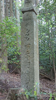 dsc00301_thumb.jpg