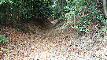 dsc00307_thumb.jpg