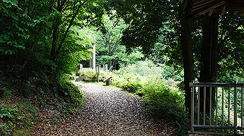 dsc00308_thumb.jpg