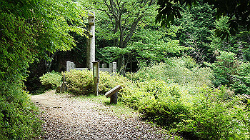 dsc00309_thumb.jpg