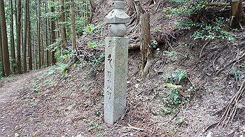 dsc00311_thumb.jpg