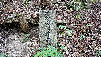 dsc00312_thumb.jpg