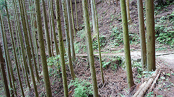 dsc00313_thumb.jpg