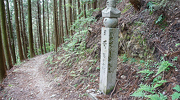 dsc00314_thumb.jpg