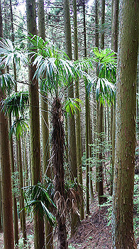 dsc00315_thumb.jpg