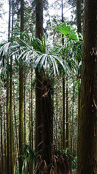 dsc00316_thumb.jpg