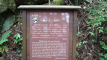 dsc00318_thumb.jpg