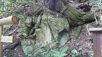dsc00319_thumb.jpg