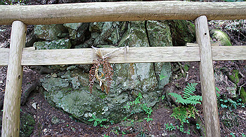 dsc00320_thumb.jpg