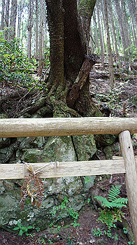 dsc00321_thumb.jpg