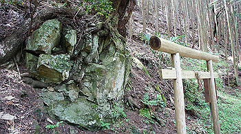 dsc00322_thumb.jpg