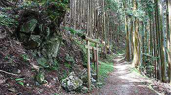 dsc00323_thumb.jpg