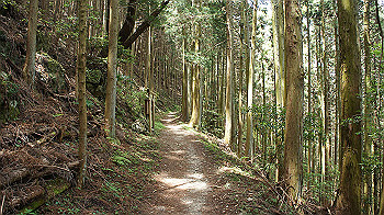 dsc00324_thumb.jpg